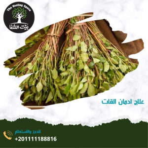 علاج إدمان القات و3 مراحل لإدمانه